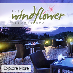 thewindflower, hotels in Mysore city, budget hotels in mysore, business hotels in Mysore, hotel with conference rooms in Mysore